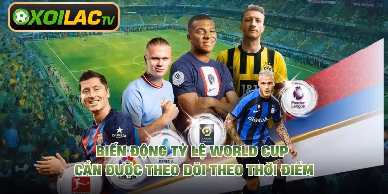 Biến động tỷ lệ World Cup cần được theo dõi theo thời điểm