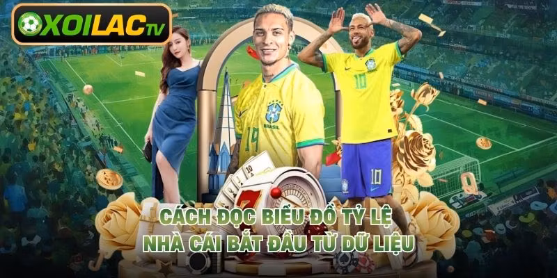 Cách đọc biểu đồ tỷ lệ nhà cái bắt đầu từ dữ liệu