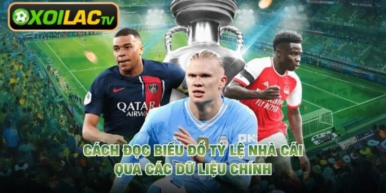 Cách Đọc Biểu Đồ Tỷ Lệ Nhà Cái Qua Các Dữ Liệu Chính