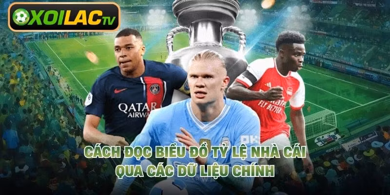 Cách Đọc Biểu Đồ Tỷ Lệ Nhà Cái Qua Các Dữ Liệu Chính