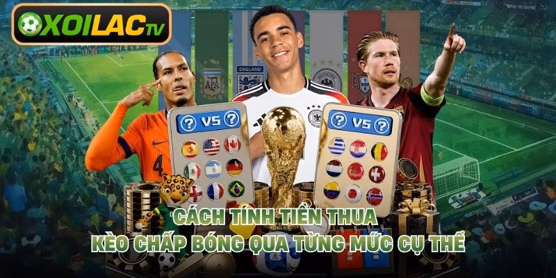 Cách Tính Tiền Thua Kèo Chấp Bóng Qua Từng Mức Cụ Thể