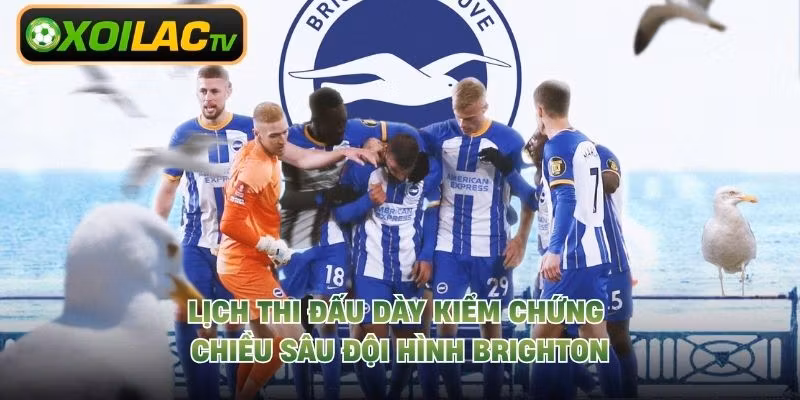 Lịch thi đấu dày kiểm chứng chiều sâu đội hình Brighton