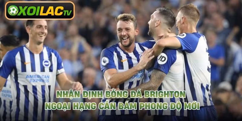 Nhận định bóng đá Brighton Ngoại Hạng cần bám phong độ mới