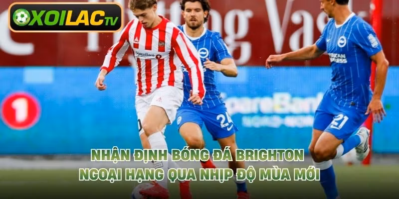 Nhận Định Bóng Đá Brighton Ngoại Hạng Qua Nhịp Độ Mùa Mới
