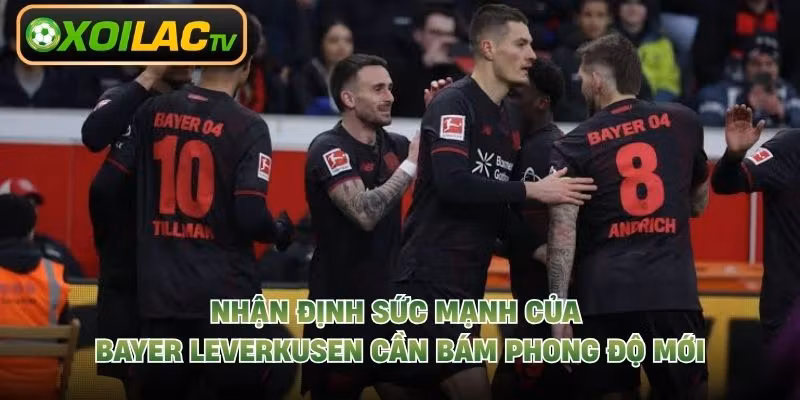 Nhận định sức mạnh của Bayer Leverkusen cần bám phong độ mới