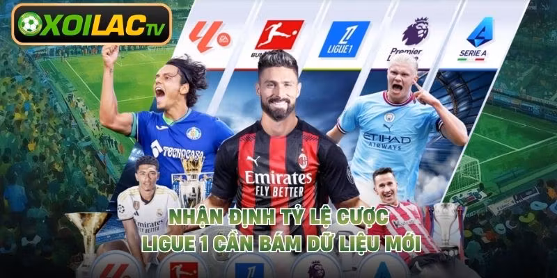 Nhận định tỷ lệ cược Ligue 1 cần bám dữ liệu mới