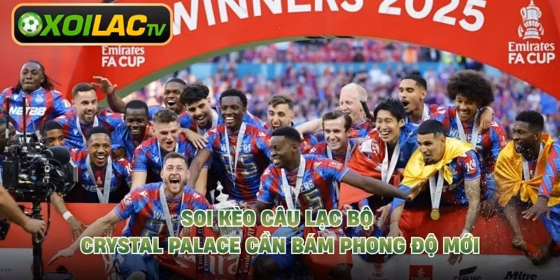 Soi kèo câu lạc bộ Crystal Palace cần bám phong độ mới